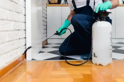 Indoor cockroach and ant treatment along kitchen skirting boards