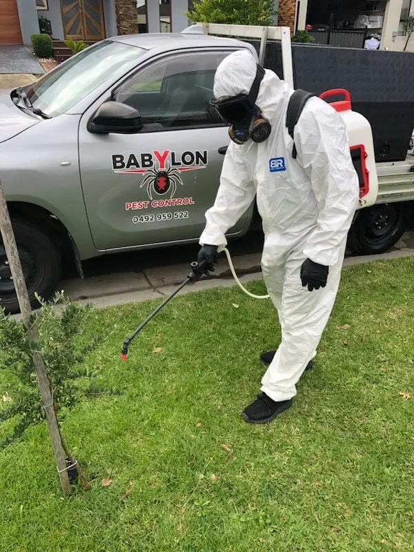 Babylon Pest Control technician in full protective gear spraying a front lawn beside the branded ute