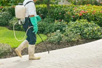 Backpack sprayer perimeter treatment around a Melbourne home garden